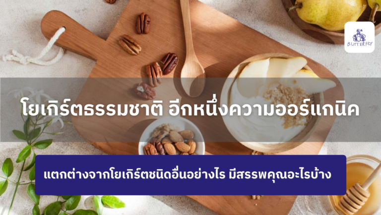 โยเกิร์ตธรรมชาติ ประโยชน์เพื่อสุขภาพลำไส้ ผิวสวย ช่วยขับถ่าย